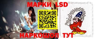 крисы Новодвинск