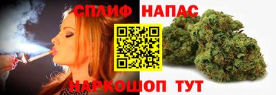гашик Новокубанск