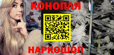 крисы Новодвинск