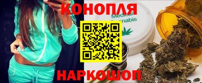 ешки Новозыбков