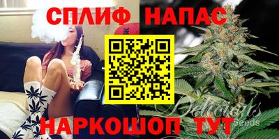 гашик Новокубанск