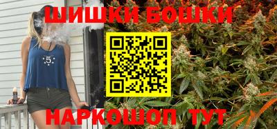 крисы Новодвинск