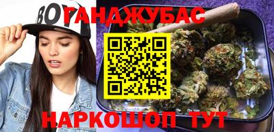 крисы Новодвинск