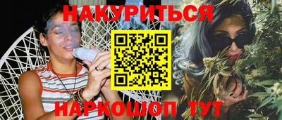 крисы Новодвинск