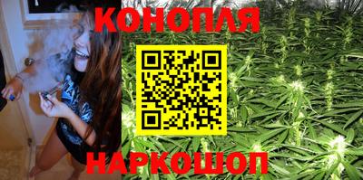 крисы Новодвинск
