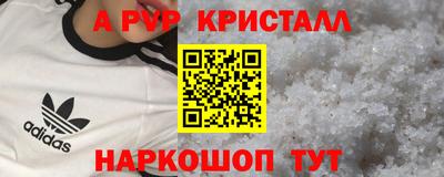 крисы Новодвинск