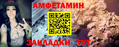 крисы Новодвинск