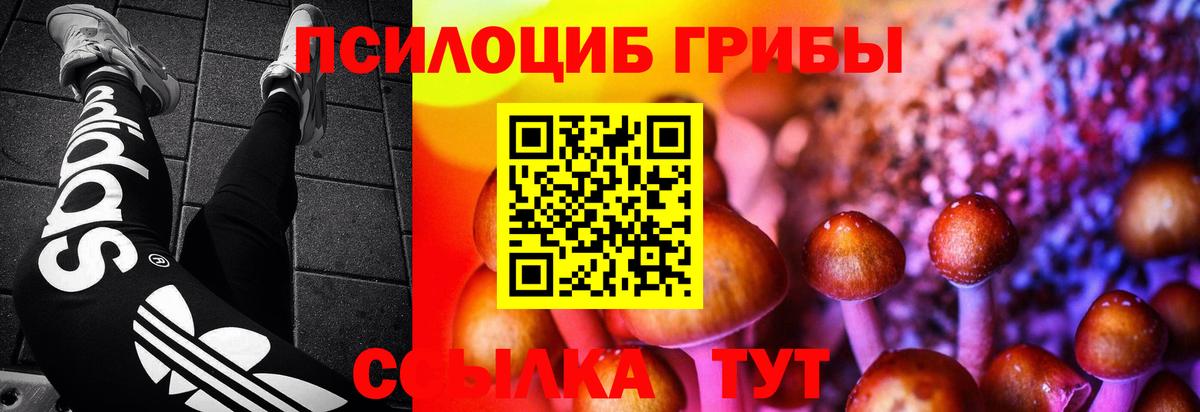 цены наркотик  Псилоцибиновые грибы мухоморы  Псилоцибиновые грибы Psilocybe  Вход с VPN  Химки 