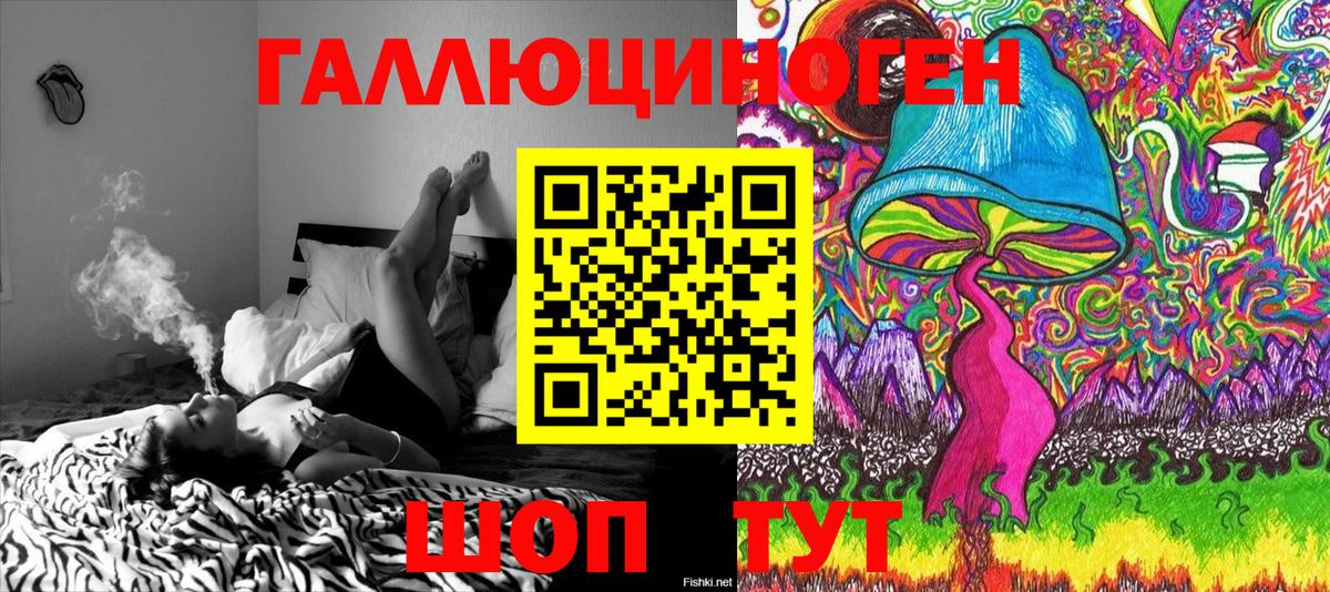 Галлюциногенные грибы Psilocybe Химки